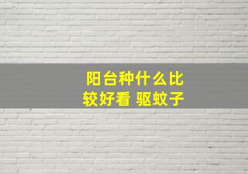 阳台种什么比较好看 驱蚊子